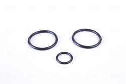 RADIATOR RACIRE MOTOR NISSENS 60763 - Compatibil cu BMW