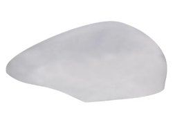 CARCASA, OGLINDA EXTERIOARA BLIC 6103-03-2001188P - Compatibil cu FORD