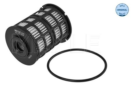 FILTRU COMBUSTIBIL MEYLE 614 323 0008 - Compatibil cu CHEVROLET, OPEL, VAUXHALL