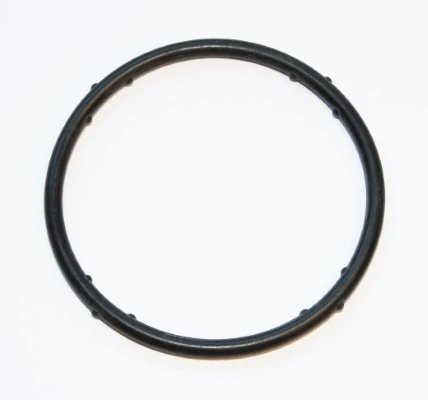 Garnitura, flansa lichid racire Elring 625.270