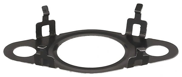 Garnitura, conducta supapa-AGR Elring 650.200
