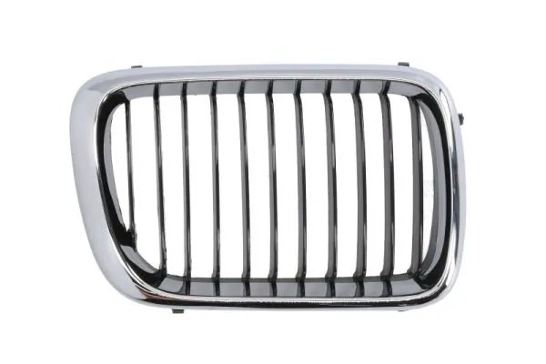 Grila radiator BLIC 6502-07-0060998P