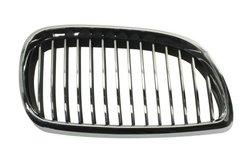 Grila radiator BLIC 6502-07-00629916P