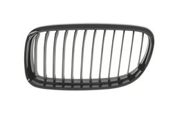 Grila radiator BLIC 6502-07-0062991BP