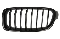 Grila radiator BLIC 6502-07-0063991MP
