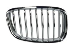 Grila radiator BLIC 6502-07-0067992GP