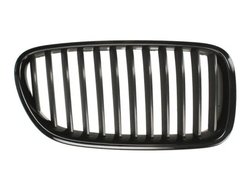 Grila radiator BLIC 6502-07-0067992P