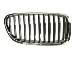 Grila radiator BLIC 6502-07-0067994P