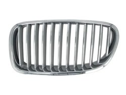 Grila radiator BLIC 6502-07-0067995P