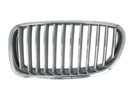 Grila radiator BLIC 6502-07-0067996P