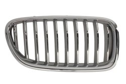 Grila radiator BLIC 6502-07-0067998CP