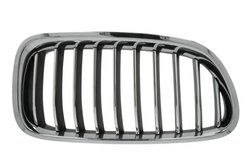 Grila radiator BLIC 6502-07-0067998P