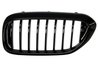 Grila radiator BLIC 6502-07-0068991P