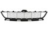 GRILA VENTILATIE, BARA PROTECTIE BLIC 6502-07-0070910P - Compatibil cu BMW