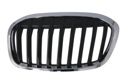 Grila radiator BLIC 6502-07-0071993P