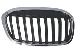 Grila radiator BLIC 6502-07-0071994P