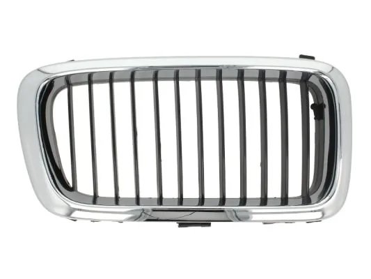 GRILA RADIATOR BLIC 6502-07-0075992P - Compatibil cu BMW
