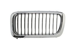 Grila radiator BLIC 6502-07-0075993P