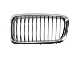 Grila radiator BLIC 6502-07-0075995P