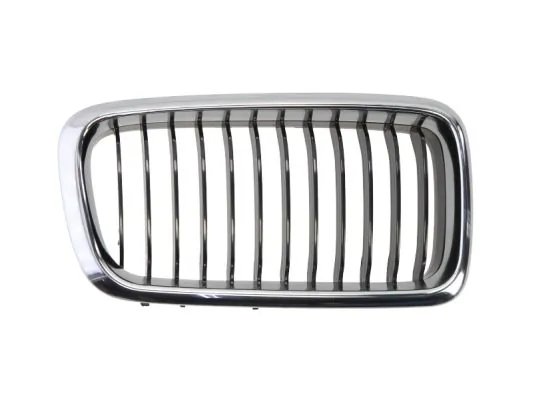 Grila radiator BLIC 6502-07-0075996P