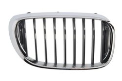 Grila radiator BLIC 6502-07-0078992P