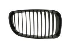 Grila radiator BLIC 6502-07-0085998P