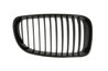 GRILA RADIATOR BLIC 6502-07-0085998P - Compatibil cu BMW