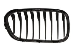 GRILA RADIATOR BLIC 6502-07-0086997P - Compatibil cu BMW