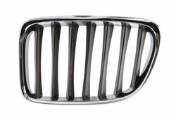 Grila radiator BLIC 6502-07-0092991P
