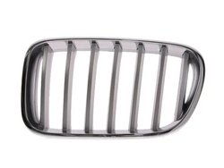 Grila radiator BLIC 6502-07-0093997P