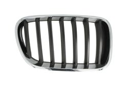 Grila radiator BLIC 6502-07-00939980P