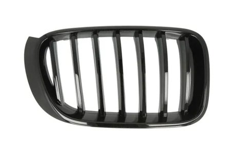 GRILA RADIATOR BLIC 6502-07-00939988P - Compatibil cu BMW