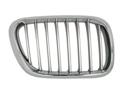 Grila radiator BLIC 6502-07-0095992P