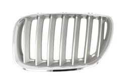 Grila radiator BLIC 6502-07-0095997P