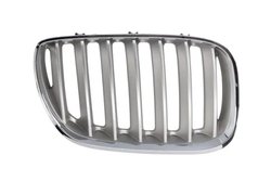 Grila radiator BLIC 6502-07-0095998P