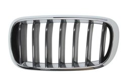 Grila radiator BLIC 6502-07-00969911P