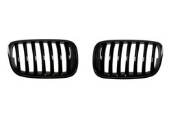 Grila radiator BLIC 6502-07-0096990P