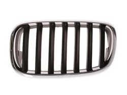 GRILA RADIATOR BLIC 6502-07-0096991P - Compatibil cu BMW