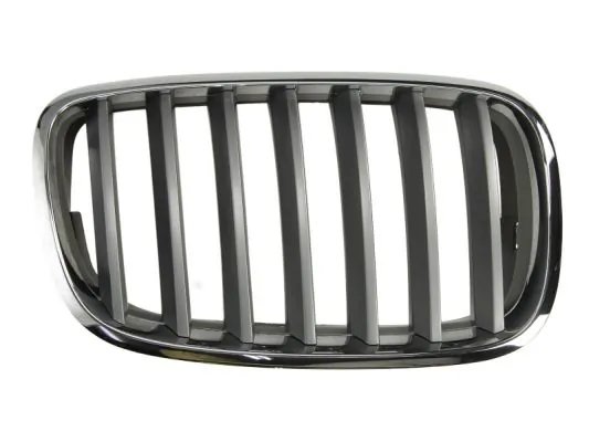 GRILA RADIATOR BLIC 6502-07-0096992PP - Compatibil cu BMW