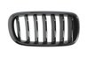 GRILA RADIATOR BLIC 6502-07-00969988P - Compatibil cu BMW