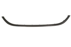 Banda de protectie, grila radiator BLIC 6502-07-2030992P