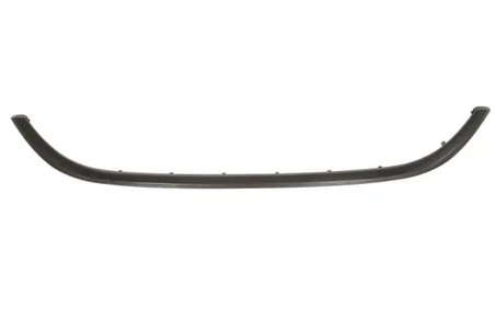 Banda de protectie, grila radiator BLIC 6502-07-2030992P