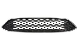 Grila radiator BLIC 6502-07-253699AP
