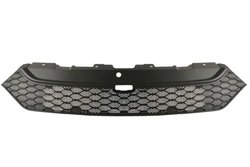 Grila radiator BLIC 6502-07-3083990P