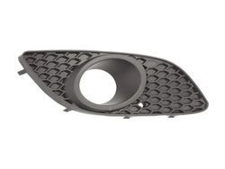 Grila ventilatie, bara protectie BLIC 6502-07-5063918Q