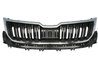 GRILA RADIATOR BLIC 6502-07-7528991P - Compatibil cu SKODA