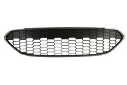 Grila radiator BLIC 6509-01-2565990Q