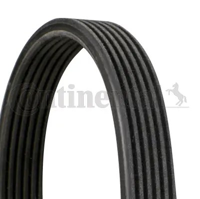 Curea transmisie CONTINENTAL 6DPK1215