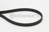 CUREA TRANSMISIE CONTINENTAL 6DPK1817 - Compatibil cu BMW