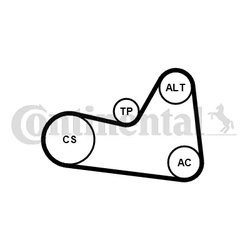 Set curea transmisie cu caneluri CONTINENTAL 6PK1026K1